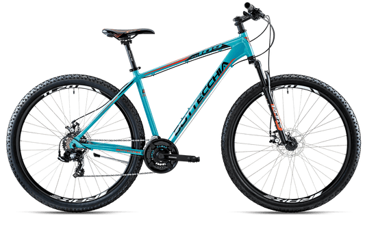 Bottecchia 109