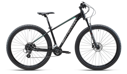Bottecchia 116