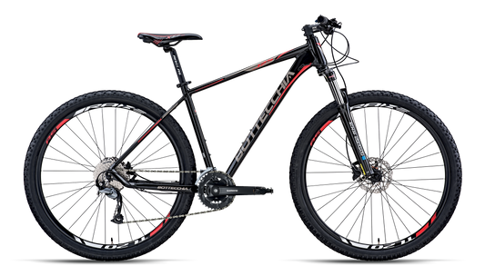 Bottecchia 125