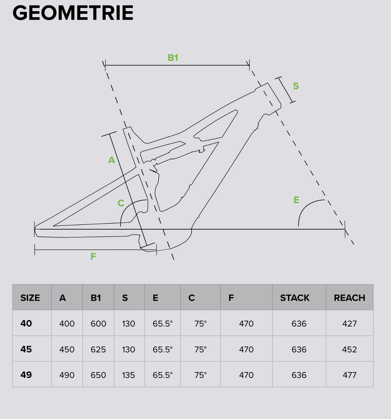 Guida taglie immagine