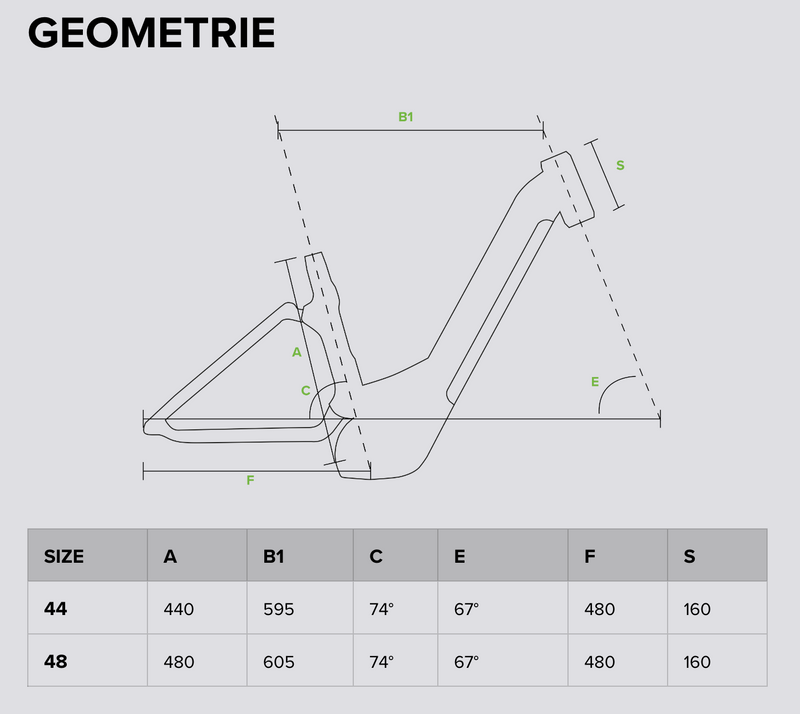 Guida taglie immagine